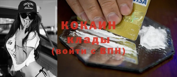 молекула духа Майский