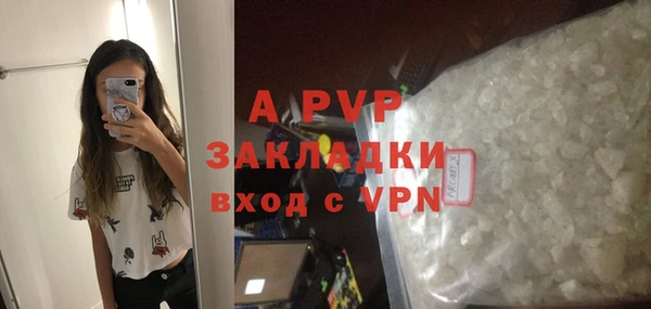 винт Липки