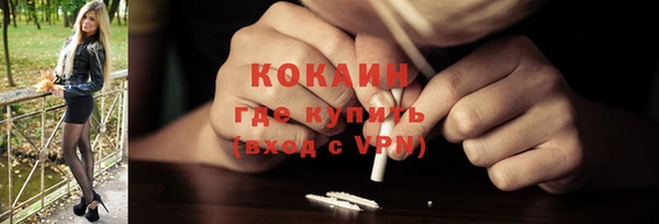 хмурый Лиски