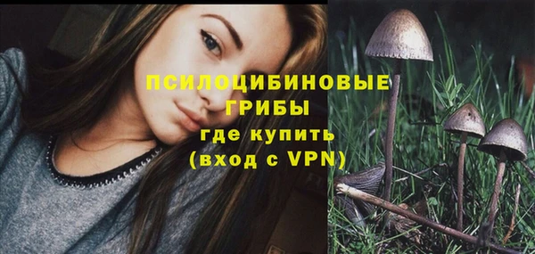 СК Магадан