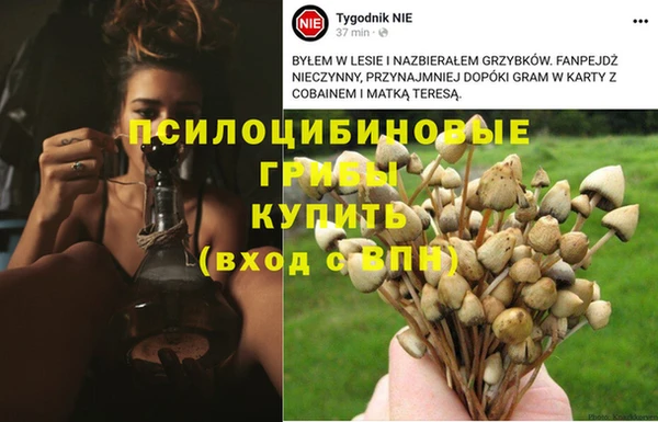 молекула духа Майский
