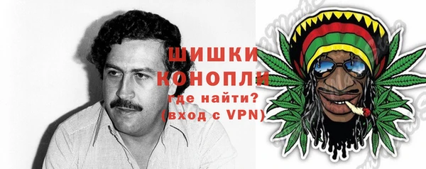 молекула духа Майский